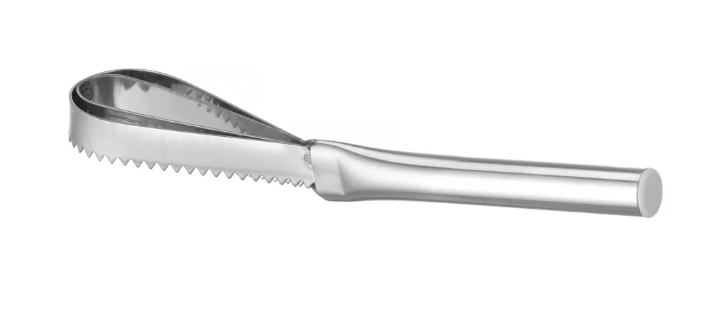 Vis Fish scaler, HENDI, 240x46mm, bilde 3