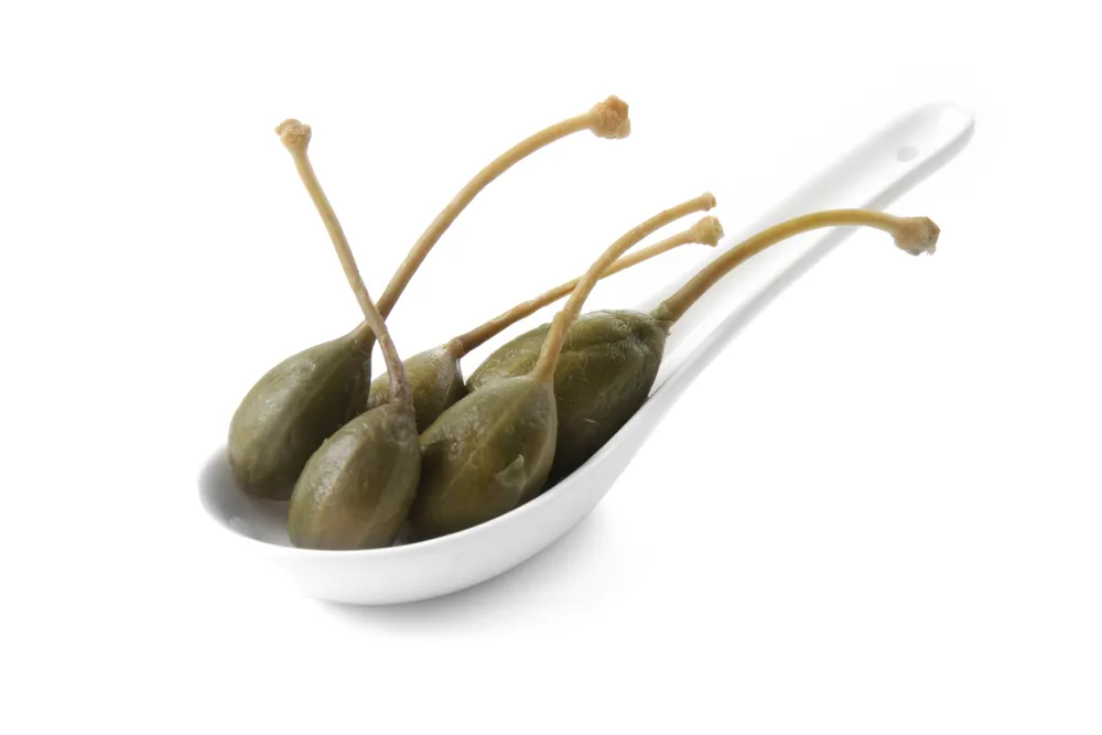 Vis Tapas dish Cuchara, HENDI, Cuchara, 6 pcs., 130x43x(H)26mm, bilde 2