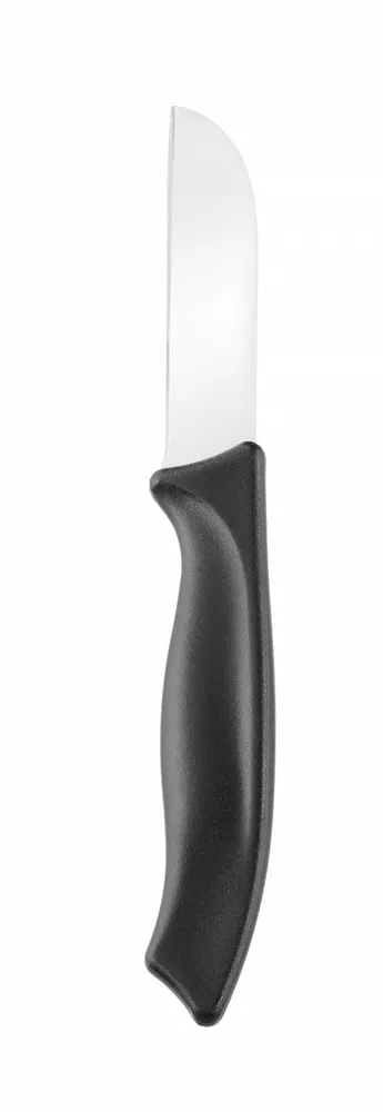 Paring knife, straight, HENDI, Black, (L)180mm