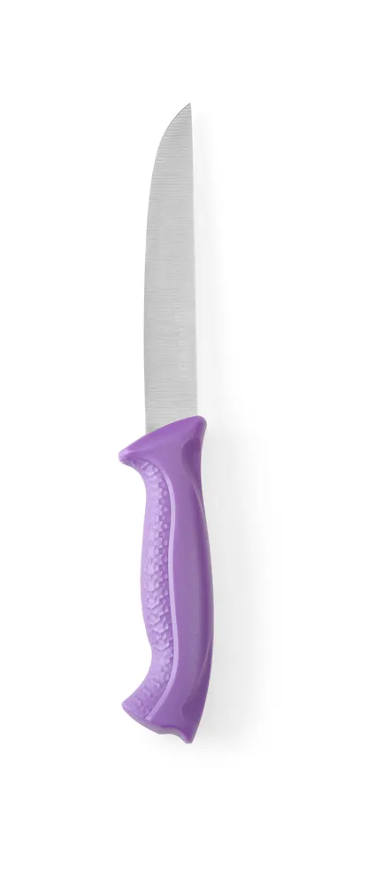 Carving knife, HENDI, Purple, (L)280mm