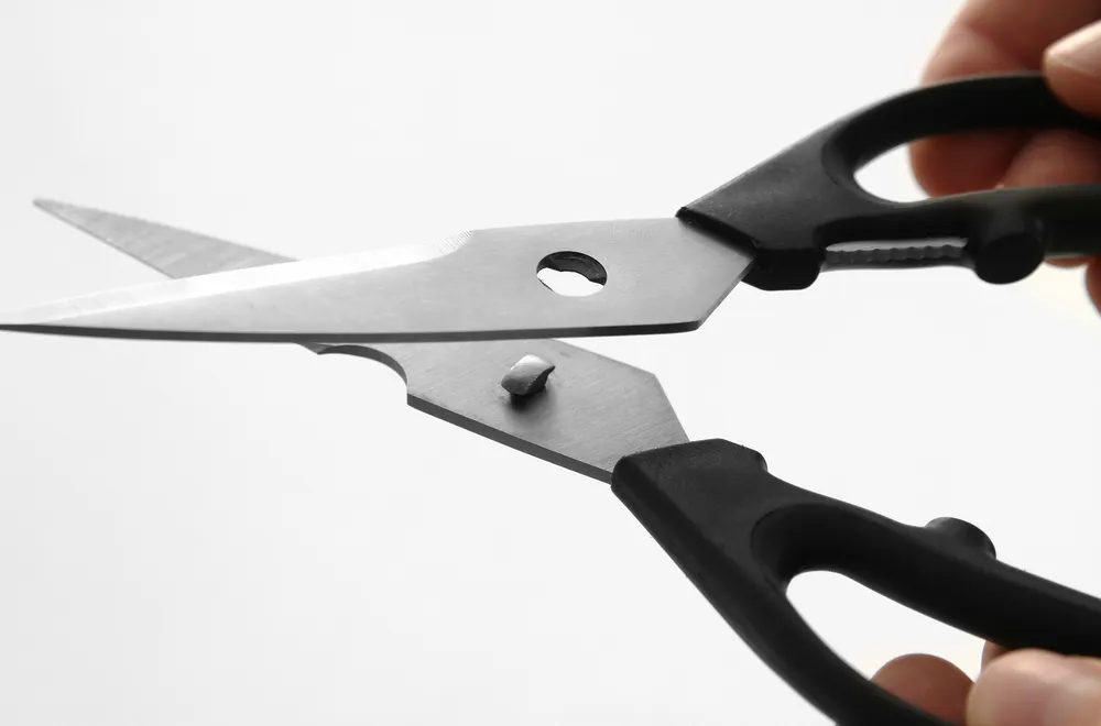 Vis Kitchen shears, HENDI, Black, (L)200mm, bilde 2