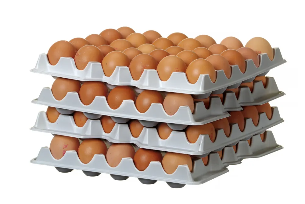 Vis Set of 4 egg trays for HENDI OVOBOX 120, HENDI, 291x288x(H)41mm, Rectangular, bilde 6