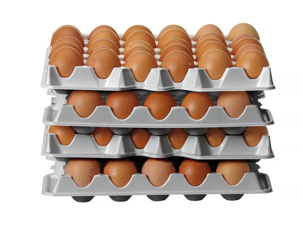 Vis Set of 4 egg trays for HENDI OVOBOX 120, HENDI, 291x288x(H)41mm, Rectangular, bilde 5