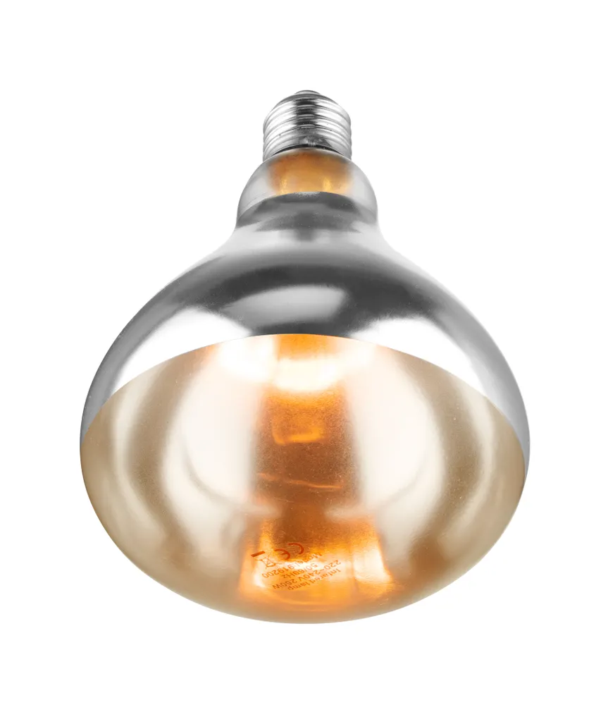 Vis Infrared heat bulb, HENDI, White, 230V/250W, ⌀125x(H)170mm, bilde 4