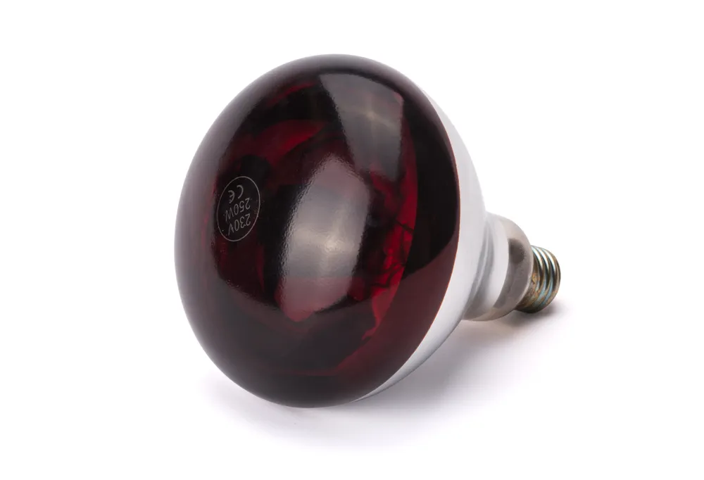 Vis Infrared heat bulb, HENDI, Red, 230V/250W, ⌀125x(H)170mm, bilde 3