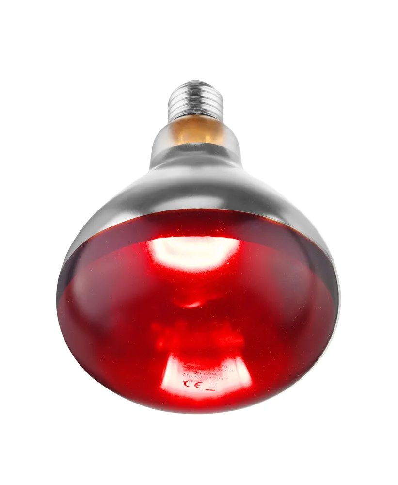 Vis Infrared heat bulb, HENDI, Red, 230V/250W, ⌀125x(H)170mm, bilde 4