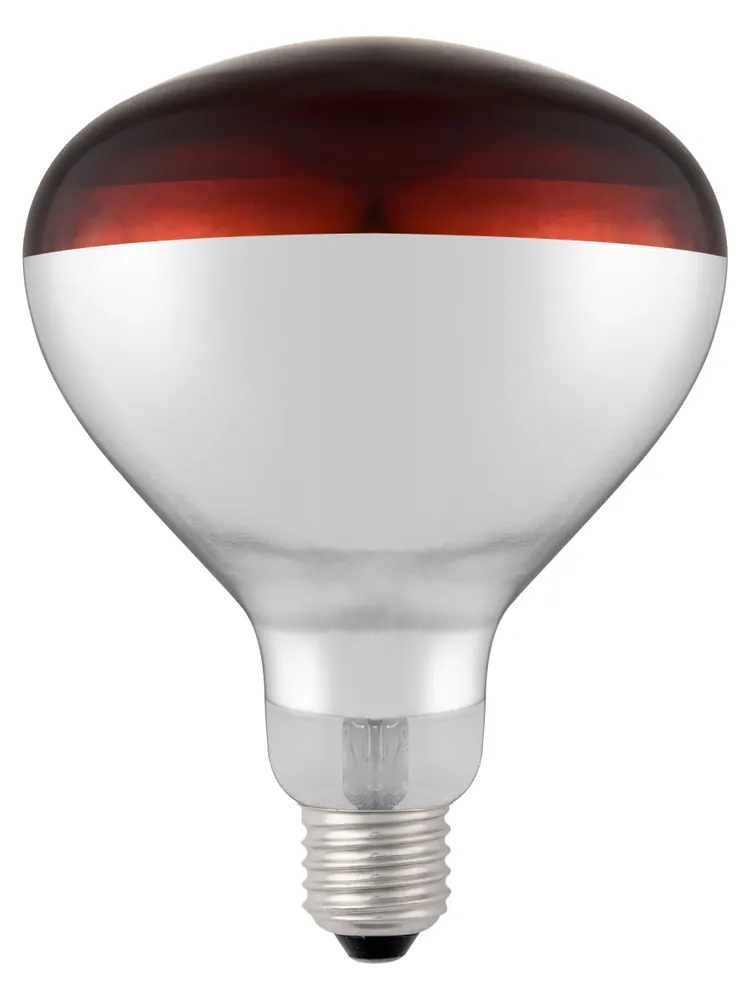Infrared heat bulb, HENDI, Red, 230V/250W, ⌀125x(H)170mm